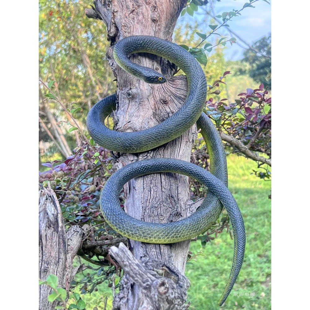 Lớn Cao Su Mềm Mô Phỏng Rắn Đồ Chơi Trẻ Em Rắn Python Đen Rắn Hổ Mang Vua Rắn Đáng Sợ Giả Giả Rắn Độ