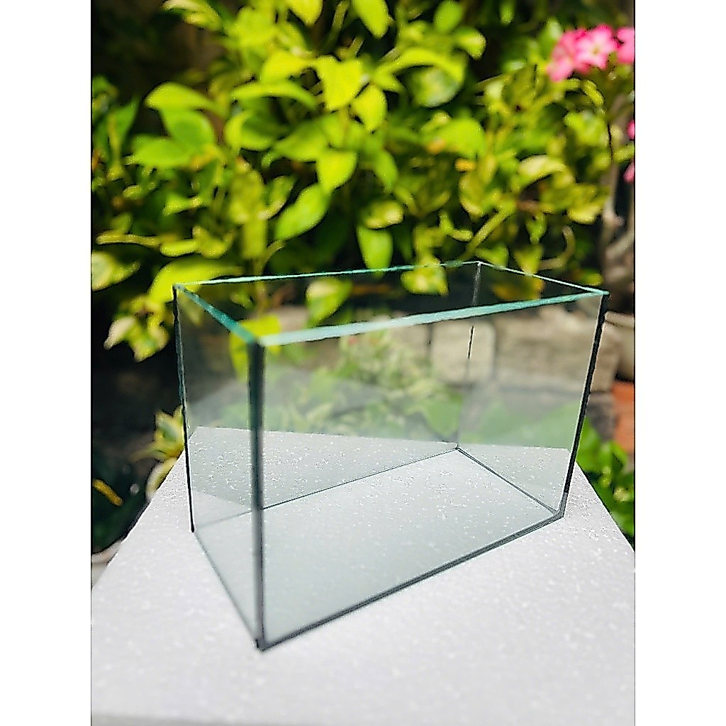 (Hỏa tốc HCM) Bể cá mini Bể cá betta 24-12-17 20x15x20 mài cạnh nhẵn an toàn bảo hành vỡ do vân chuy
