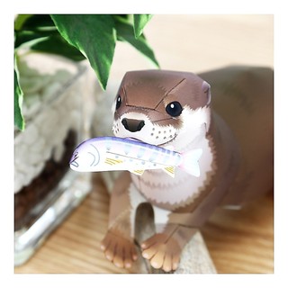 Mô hình giấy động vật Rái cá