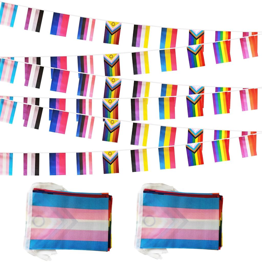 60 Cờ dây đồng tính cầu vồng All Pride, 66 ft Progress Rainbow Gay Pride Flag Bunting Banner, Trang 