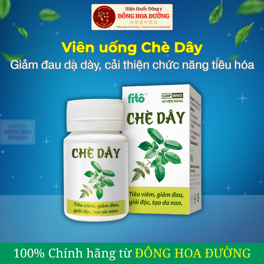 Viên uống Chè Dây (Chai 40 viên) Hỗ trợ giảm đau dạ dày, bảo vệ niêm mạc, giảm viêm, cải thiện tiêu hóa và đường ruột