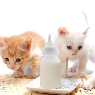 Sữa bột Bio milk cho chó mèo 100g