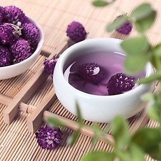 500gr Cúc Bách Nhật Tím