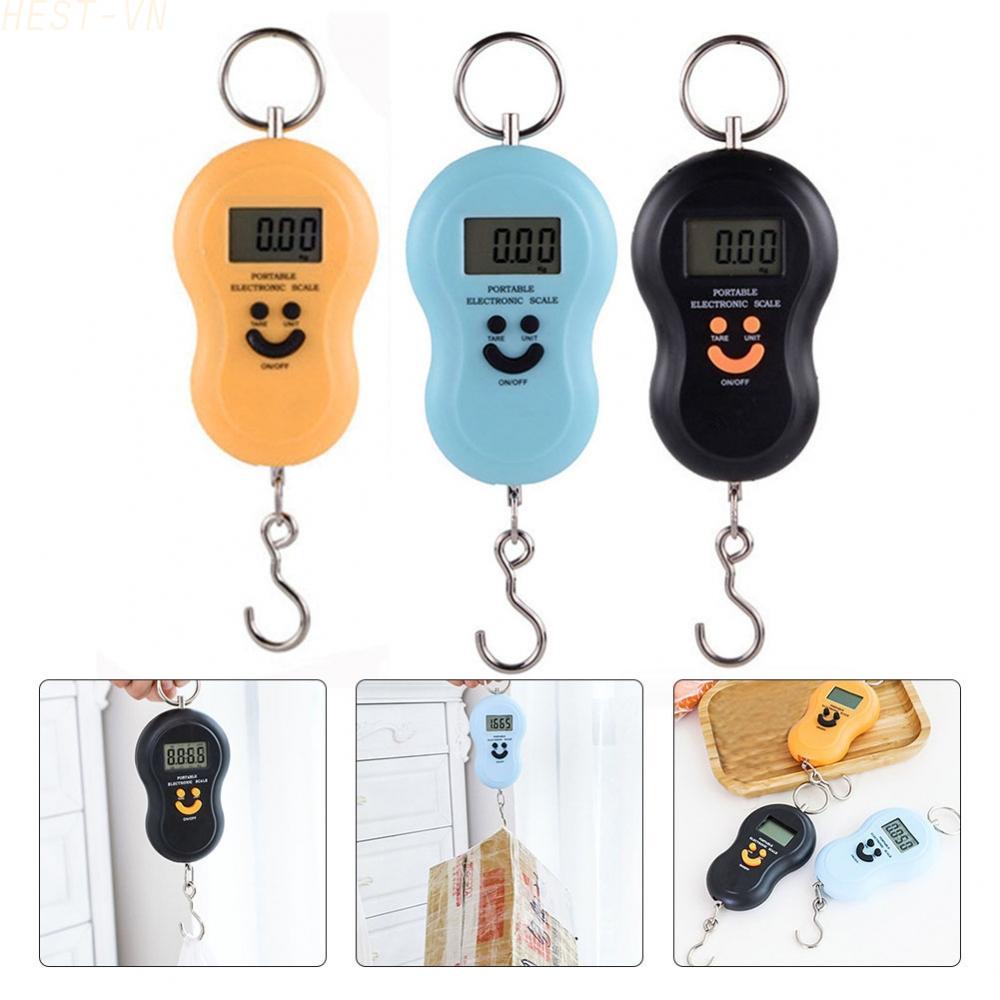 Stainless Steel Digital Hanging Scale 50kg 110lb for Fish Luggage Hay Fertilizer