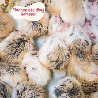 Đồ ăn cho hamster, HẠT HƯỚNG DƯƠNG
