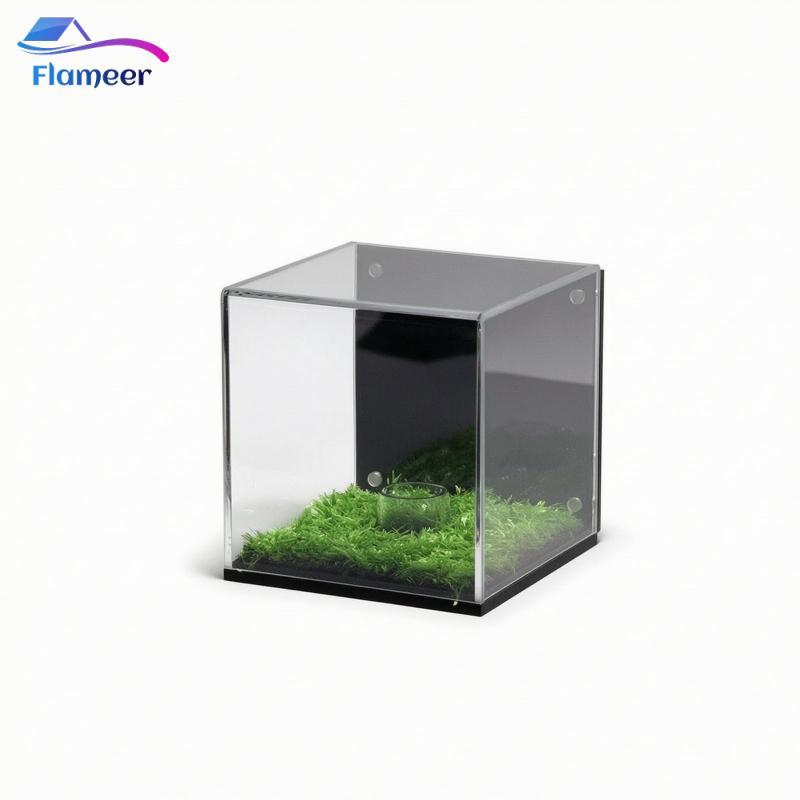 Hộp trưng bày bóng golf Hộp trưng bày bóng golf trong suốt được nam châm hóa trong suốt cho người sư