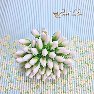 NỤ HOA MAI ĐẤT SÉT- 1 bó 50 nụ