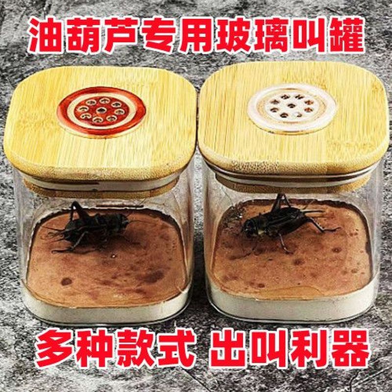 Thủy Tinh Barking Jar Dầu Bầu Barking Jar Cricket Barking Jar Black Worm Telecom Beetle Dụng Cụ Men 