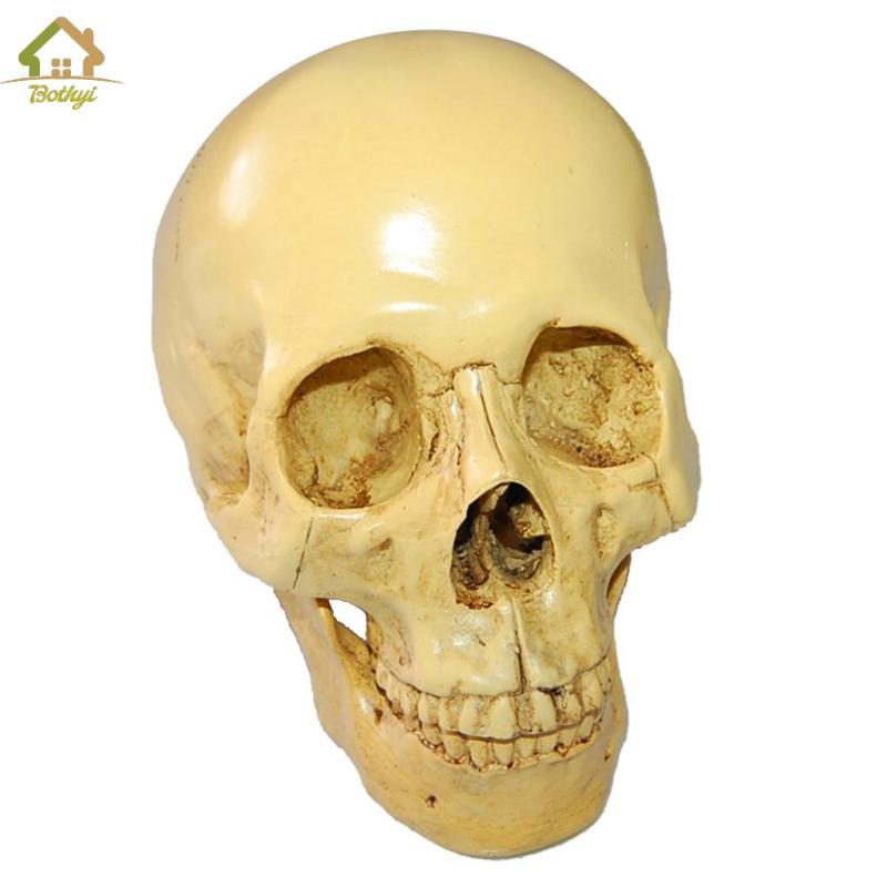 Bothyi Design Resin Human Skull 1: 1 Bản sao thực tế Mô hình đầu bộ xương