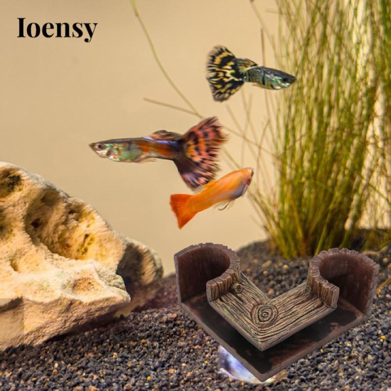 Đường hầm ngầm bể cá, đường hầm bể cá cho tôm Betta Kuhli Loach