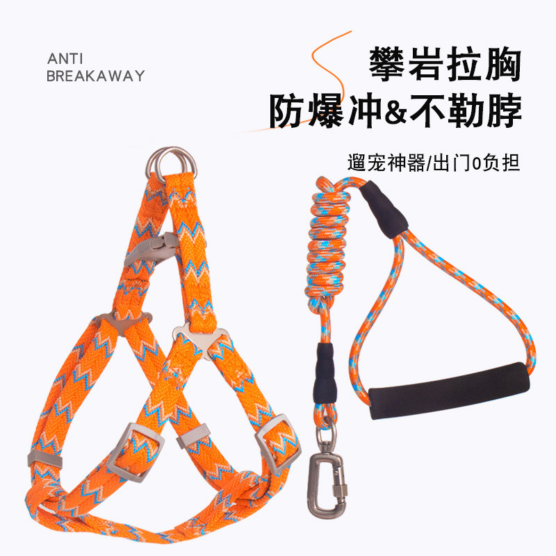 Popular~Zichen Manufacturer's Rock Climbing Rope+Stylish chest and back harness Foam handle round ro