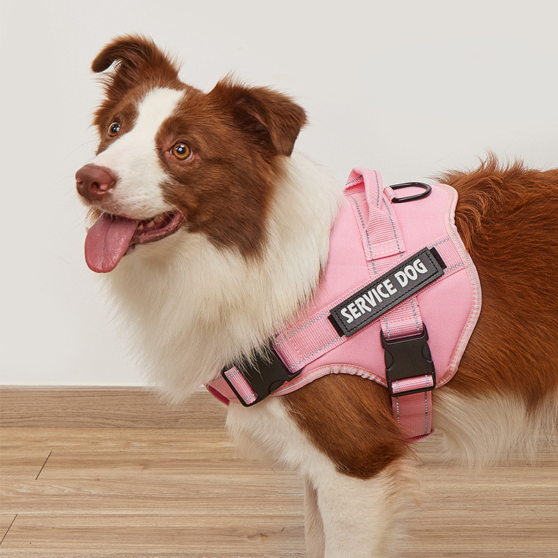Dây đeo ngực cho chó Vải Oxford chống cháy nổ X9 Dây xích Đồ dùng cho thú cưng Border Shepherd Golde