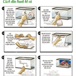Tranh 3d dán bể cá trang trí bể cá nhiều kích thướt chọn lựa , rồng 3D vàng nền trắng- mã tranh 1125