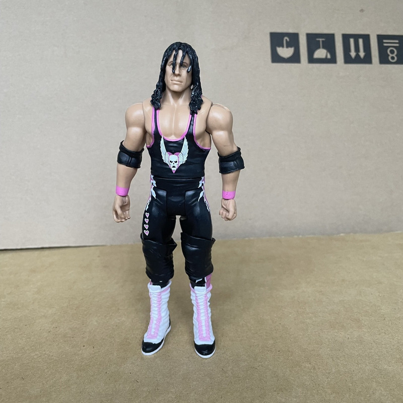 Hình Wrestler Hình Mattel Daniel Bryan Brett Wrestler Stells