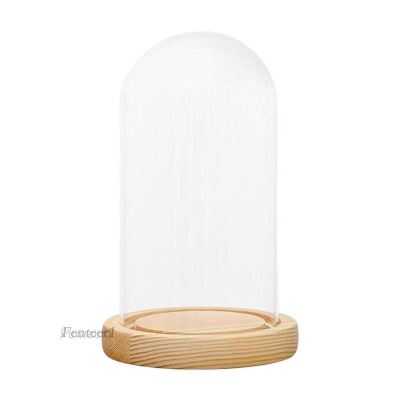 Màn hình Cloche Dome Glass Bell Jar Đế gỗ Accent Trang trí Mái vòm trong suốt Giá đỡ trưng bày tròn 