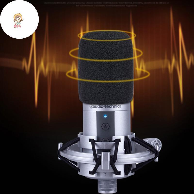 TWE 1 Vỏ Kính Chắn Gió Mic AT2020, Bộ Lọc Bọt Chống Gió Cho Audio Technica ATR2500 AT2035 AT2050 AT4