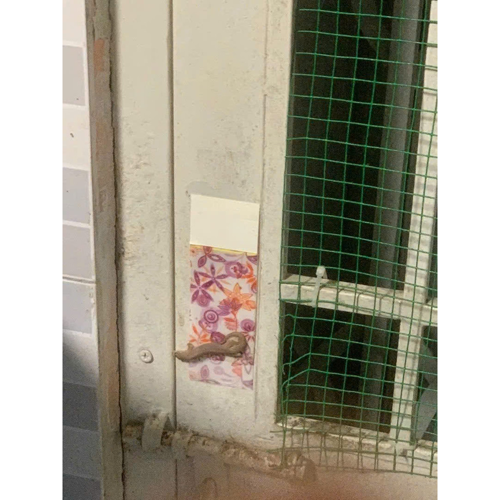 5 Miếng Keo Bắt Thằn Lằn Thạch Sùng Keo Dán Thằn Lằn Keo Bẫy Thằn Lằn Keo Diệt Thằn Lằn Bắt Tắc Kè D