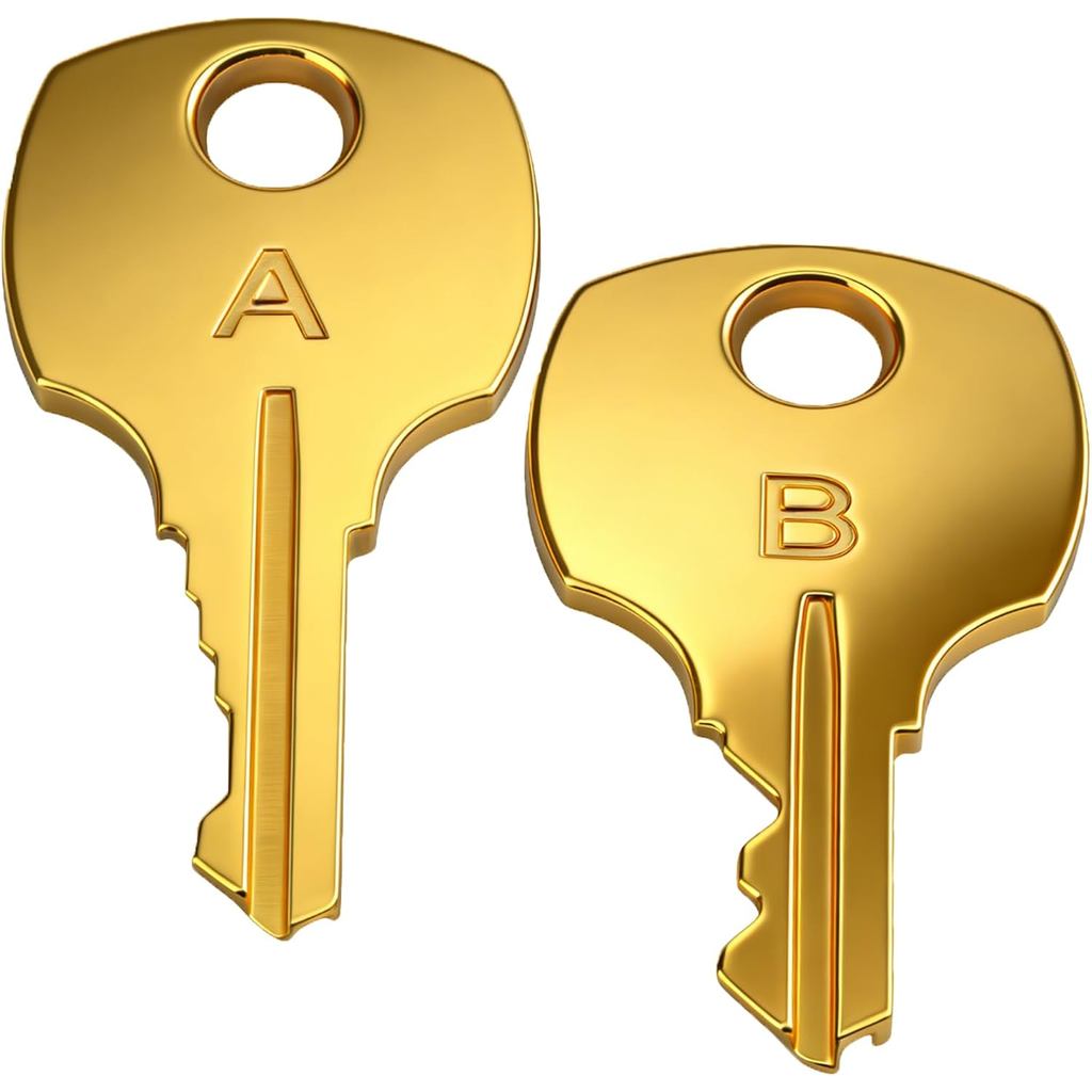 Thay thế khóa chìa khóa ngực tuyết tùng Phù hợp với tất cả các khóa dòng Lane S, Lane Cedar Ngực Key