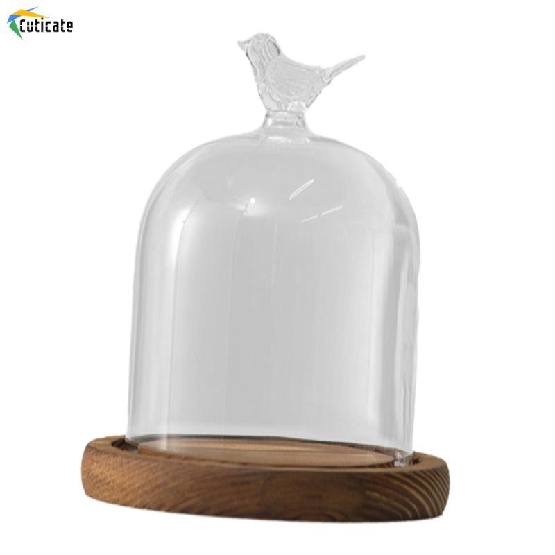 Cutate Glass Dome Cloche Bell Jar Trang trí trong suốt Bao tròn với đế gỗ cho DIY Phụ kiện thủ công 