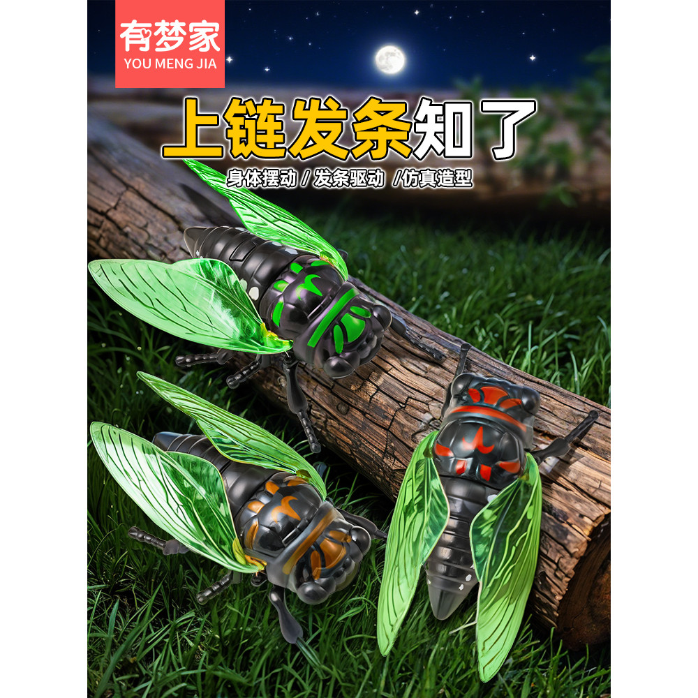 Phong Cách Mới Cuộn Dây Kiến Thức Mô Phỏng Bò Sát Đồng Hồ Đồ Chơi Côn Trùng Đồ Chơi Sáng Tạo Mùa Hè 