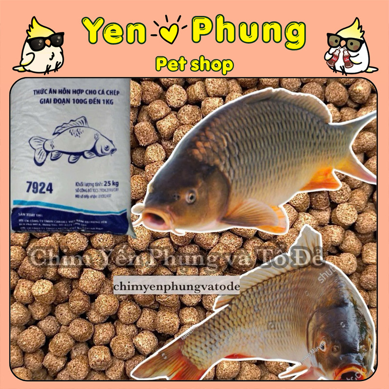 1kg Cám Cargill 7924 – Thức Ăn Cá Chép, Dùng Làm Mồi Câu