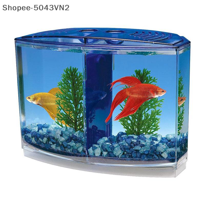 [RE] Hộp cá chiến đấu đôi lớn Eco Rumble Fish Aquarium Mini Aquarium Hộp cách ly bằng nhựa Hộp nhân 