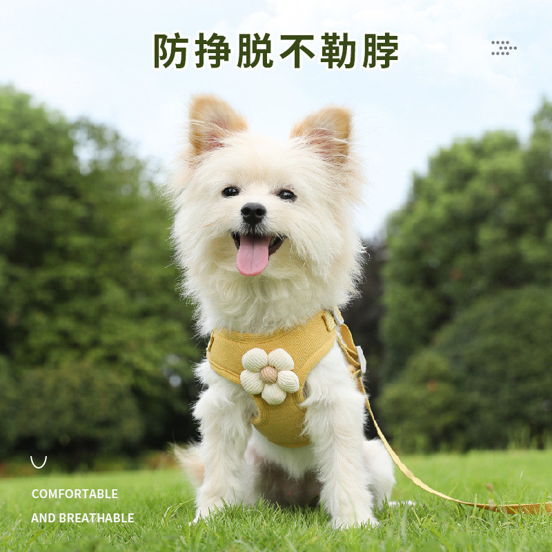 Chó Con Dây Xích Chó Vest Chó Con Nhỏ Teddy Bichon Pomeranian Bichon Dây Đeo Dây Xích Đi Chơi Đi Bộ 