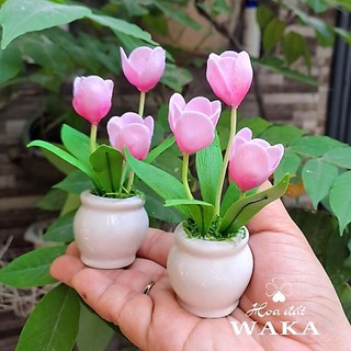 Hoa Đất Sét Mini- Chậu Tulip Mini 12cm