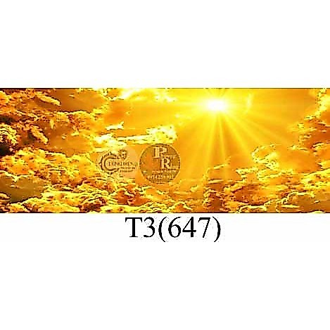 Tranh 3D dán bể cá cảnh hồ thuỷ sinh