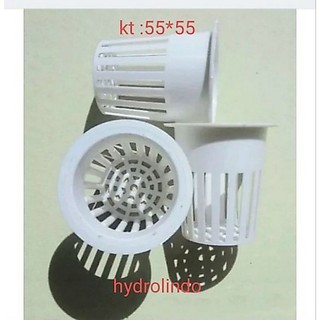 COMBO 2 RỌ TRỒNG RAU THỦY CANH