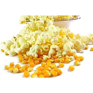 (Mã NSF02P125 giảm 25K) Ngô Mĩ Nổ Bắp Rang Bơ