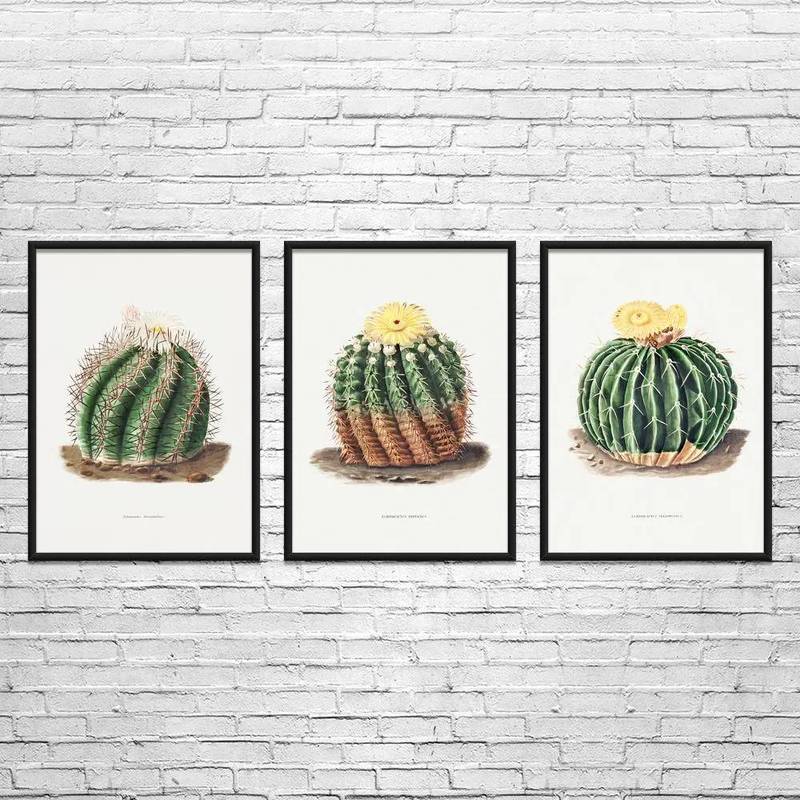 Vintage Barrel Cactus Botanical Canvas Wall Art Set, Watercolor Cactus Artwork for Home Decor