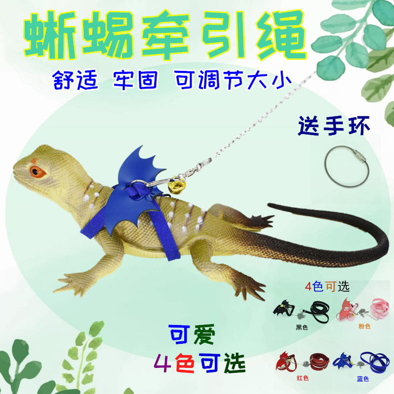 Thằn lằn Lực Kéo Dây Maned Thằn lằn Xanh Iguana Bò Sát Thú Cưng Nhỏ Vừa Sa Mạc Thằn Lằn Đi Chơi Lực 