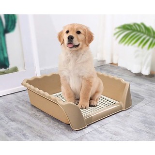 Khay vệ sinh size lớn và nhỏ dành cho chó - T3 PETS SHOP