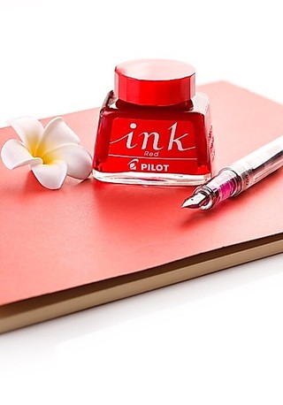 Mực Ink pilot