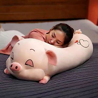 gấu bông heo hí