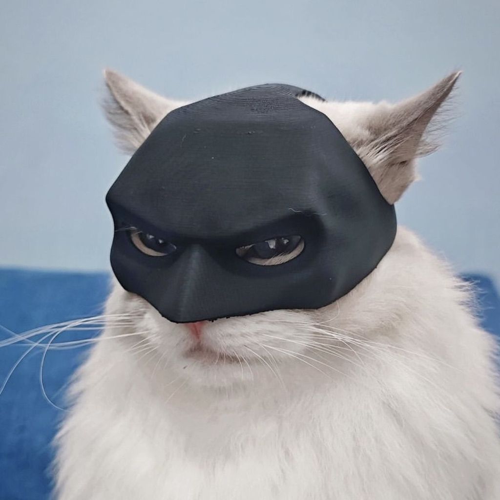 Mặt nạ mèo Batman in 3dMặt nạ Batman Cat Mask cos