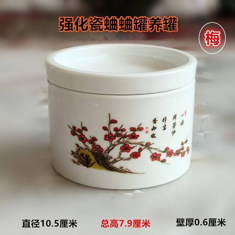 Nồi Cricket Nồi Văn Hóa Cricket Nồi Tăng Cường Sứ Cricket Nồi Đồ Chơi cricket 8.15v