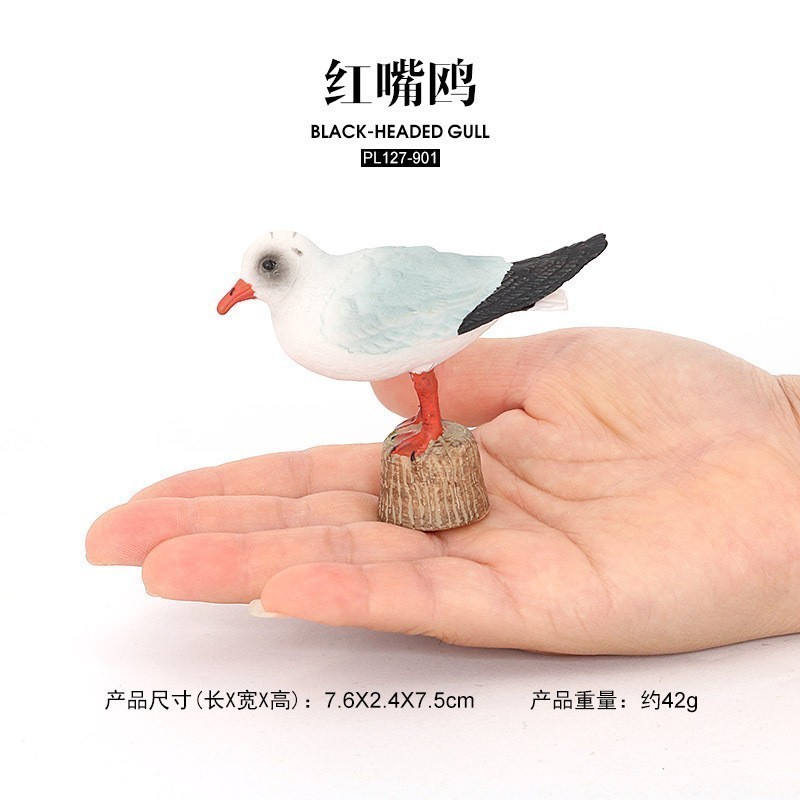 Mô hình đồ chơi chim nhỏ Mũ đỏ Gull Đại bàng đầu trắng Toucan Mặt đen mỏ thìa Macaw Chim gõ kiến Bar