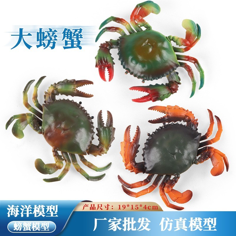 Trẻ Em Nhận Thức Nhựa Mô Phỏng Máy Trợ Giảng Mô Hình Đồ Chơi Mô Hình Cua Lông Cua Đá Cua Cua Tàu Con