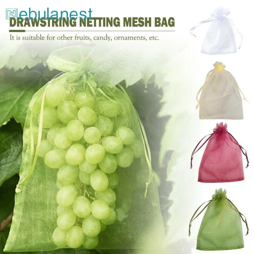 NEBULANEST 30 Chiếc Túi Trái Cây Dụng Cụ Làm Vườn Nylon Bảo Vệ Trái Cây Bảo Vệ Thực Vật Hoa Rau Dây 