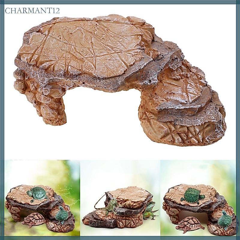 Char Natural Rock Hideout Pet Nơi ẩn náu và cảnh quan cho rùa Terrariums