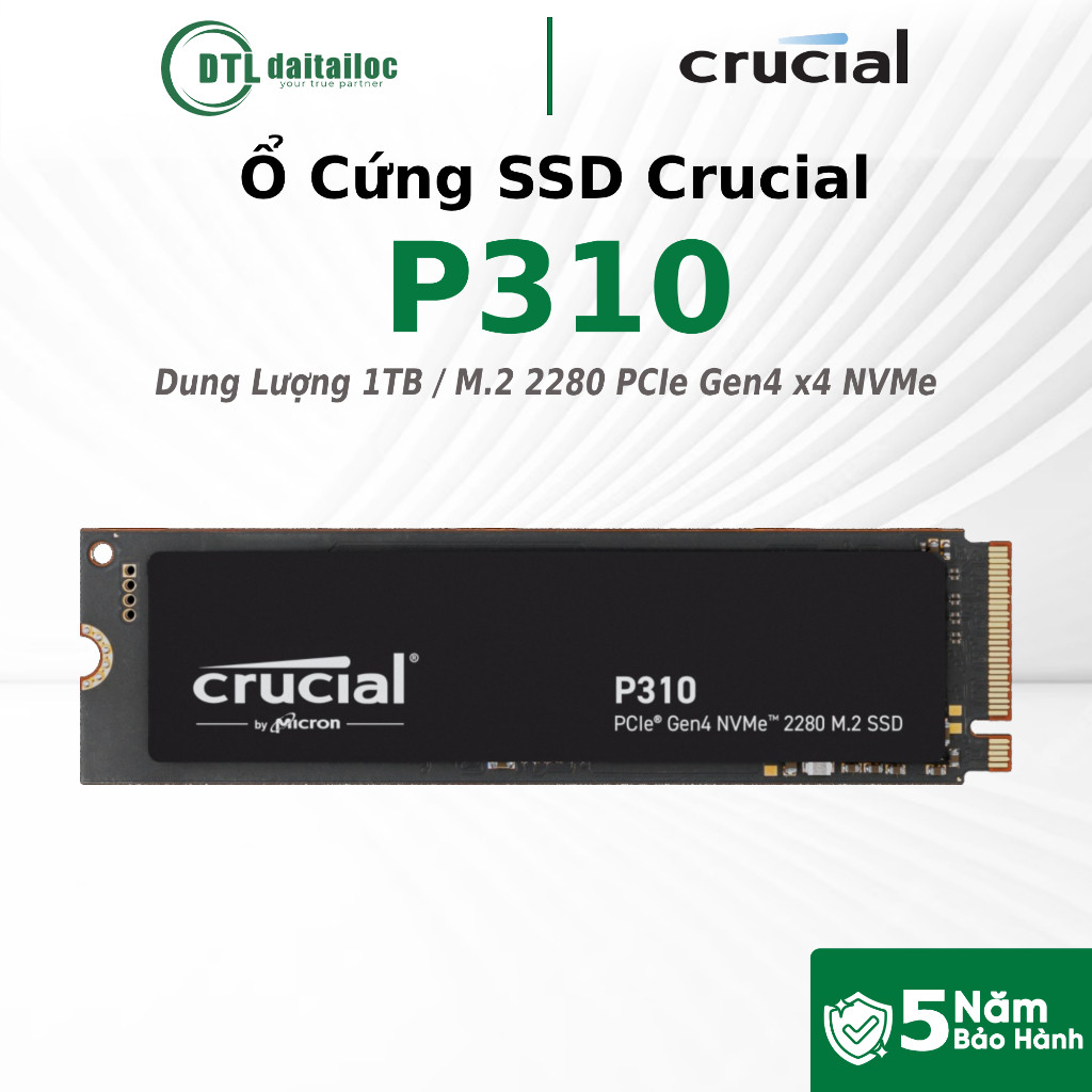Ổ Cứng SSD Crucial P310 1TB M.2 2280 PCIe Gen4 x4 NVMe (Đọc 7100 MB/s Ghi 6000 MB/s) | Chính Hãng | 