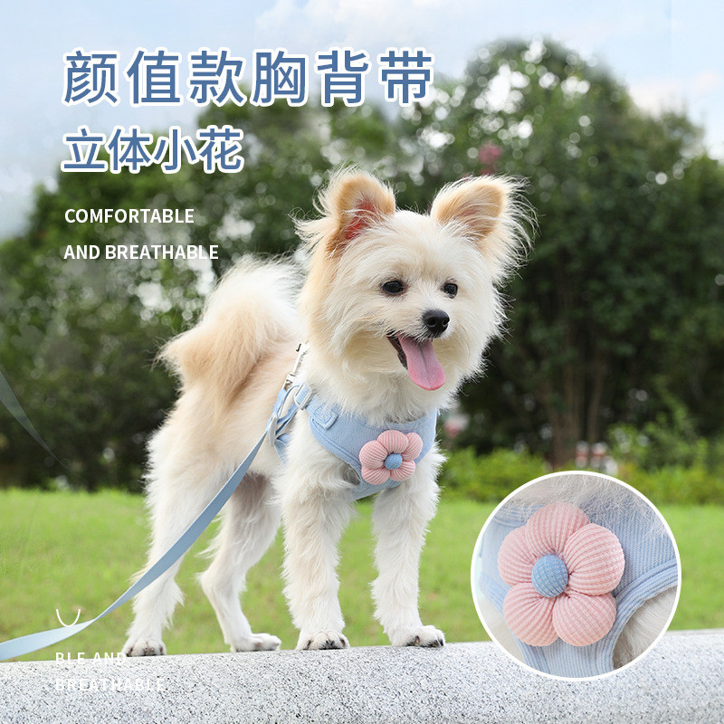 Chó Con Dây Xích Chó Vest Chó Con Nhỏ Teddy Bichon Pomeranian Bichon Dây Đeo Dây Xích Đi Chơi Đi Bộ