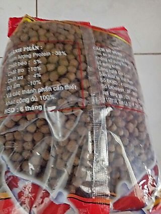 CÁM CÁ , THỨC ĂN CHO CÁ CẢNH