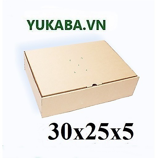 10 Thùng carton nắp gài size 30x25x5