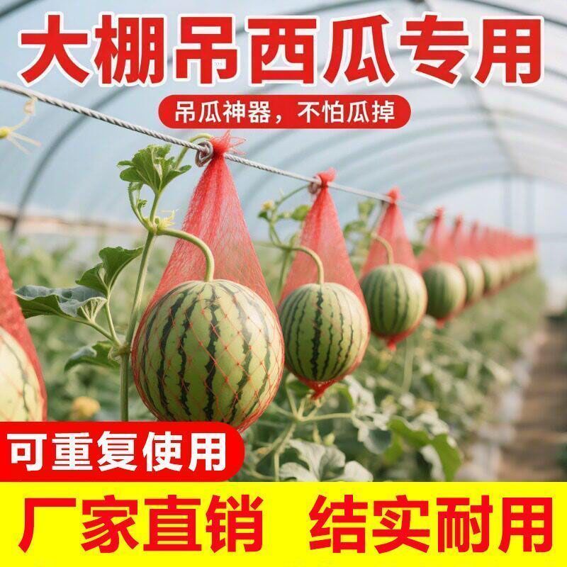Xanh Nhà Kính Treo Dưa Hấu Lưới Túi Treo Lưới Dưa Bỏ Túi Thả Dưa Treo Bộ Dưa Dưa Treo Dưa Dưa Dưa Dư