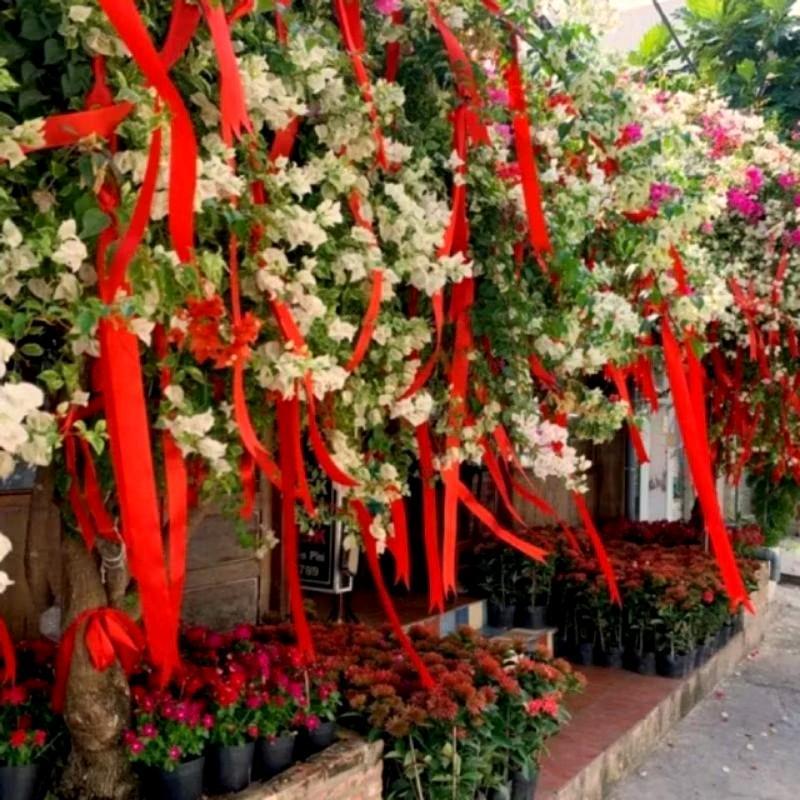 Dây duy băng dây lụa đỏ treo cây bản 2cm×22m trang trí tết 2025,lễ hội, trung thu, gói quà