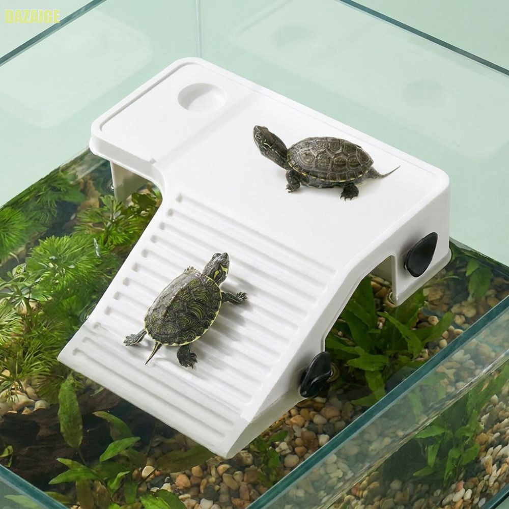 DAZAIGE Reptile Ramp Nhựa Resting Platform Pet Habitat