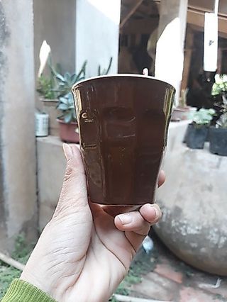 Chậu Gốm Trồng Sen Đá, Xương Rồng